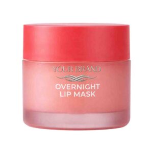 LIP MASK